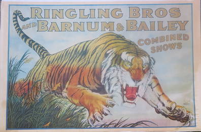 RINGLING BROS and BARNUM & BAILEY CLASSIC TIGER POSTER