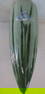 Large Japanese Iris Celedon Conical Wall Pocket: