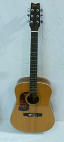 Washburn D-5 Apprentice 6 String Acoustic Guitar: