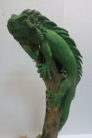 Figural Resin Iguana on Driftwood:
