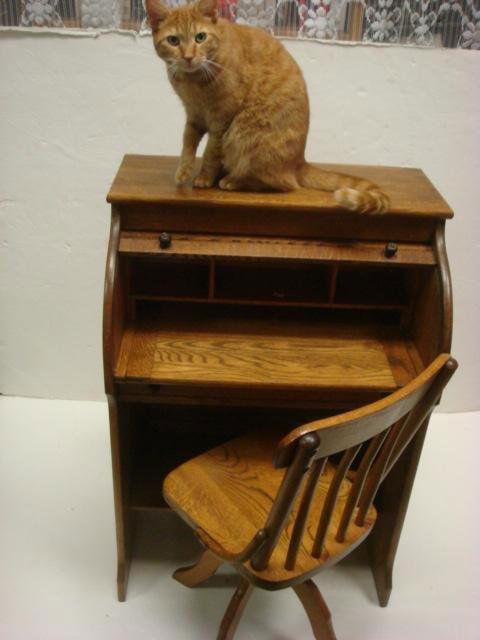 PARIS MFG.CO. Childs Golden Oak Roll Top Desk, Cha: PARIS MFG.CO. Childs Golden Oak Roll Top Desk, Chair: Matched Swivel Chair. C Roll Opens to Interior Cubbys. Single Drawer With Lower Shelf on Trestle Base. Spindle Back Chair with Bent Wood Supports