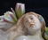 MEISSEN Triton Ensnares a Maiden Figural Group: - 5