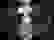 item-22855097=3