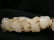 Asian Hand Mirror with White Jade Medallion: - 3