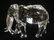 Swarovski Crystal ELEPHANT Figurine: - 3