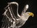 SWAROVSKI Crystal Bald Eagle on Branch: - 2