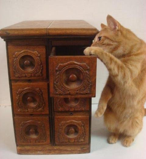 Oak Six Drawer Cabinet:: Oak Six Drawer Cabinet: Ca. 1907 Carved Rectangular Top with Applique on Oak Veneer Sides. Ogee Edge w/Bead Accents. Carved & Turned Knobs. Flat Bottom Bracket Feet. Was a Singer Sewing Machine Case.