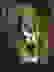 item-355907=2