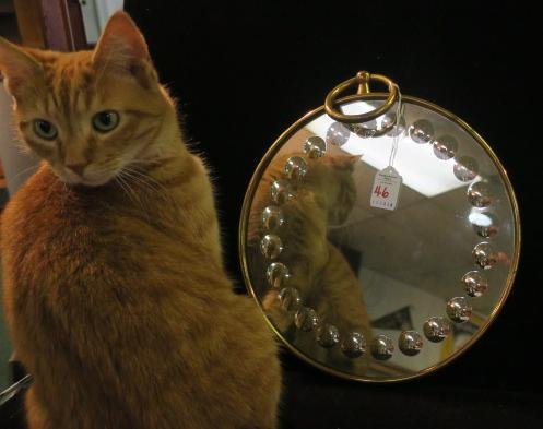 Mid Century FORNASETTI Round Mirror:: Mid Century FORNASETTI Round Mirror: Original Piero Fornasetti Optical Mirror C. 1960's, Made in Italy. 24 Convex Circles Surround Edge of Mirror. Brass Frame (Some Discoloration) has Large Brass Ring