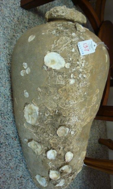Ancient Greek Amphora Clay Jar:: Ancient Greek Amphora Clay Jar: Used to Transport Wine and Olive Oil on Ships. When Empty Jug is Tossed into the Sea it has Enabled Historians to Track Ship Routes. Covered with Many Shells from the S