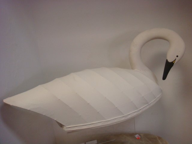 Signed NICK SAPONE White Swan Canvas Decoy: (1 of 4)