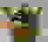 item-50006046=2