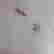 item-50826079=5