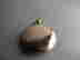 item-51642358=2