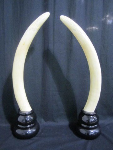 C25-1 PAIR OF AFRICAN TUSKS: With wood mounts. Measures 32" tall.