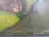 item-10140495=4