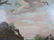 A44-38 DOGS & CATS FIGHTING OIL PAINTING - 7