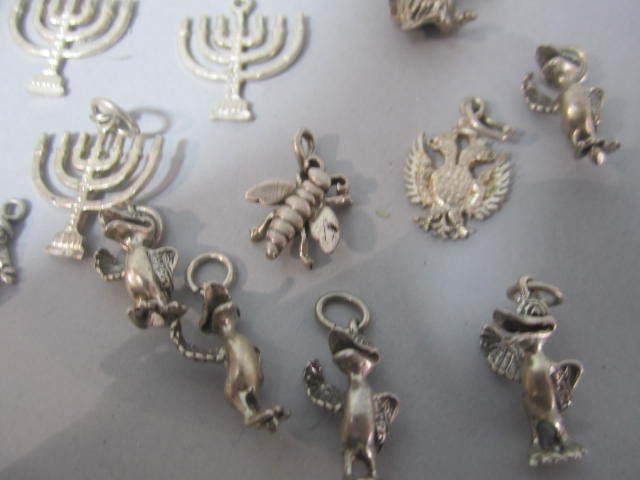 C45-49 STERLING SILVER CHARMS - 5