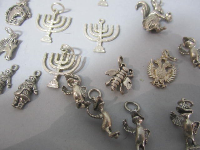 C45-49 STERLING SILVER CHARMS - 6
