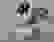 item-47994566=3