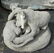Grouping of 3 cut Vicenza stone lions & cubs - 2