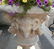 Pair of Belgian cast stone urns with rams' heads - 2