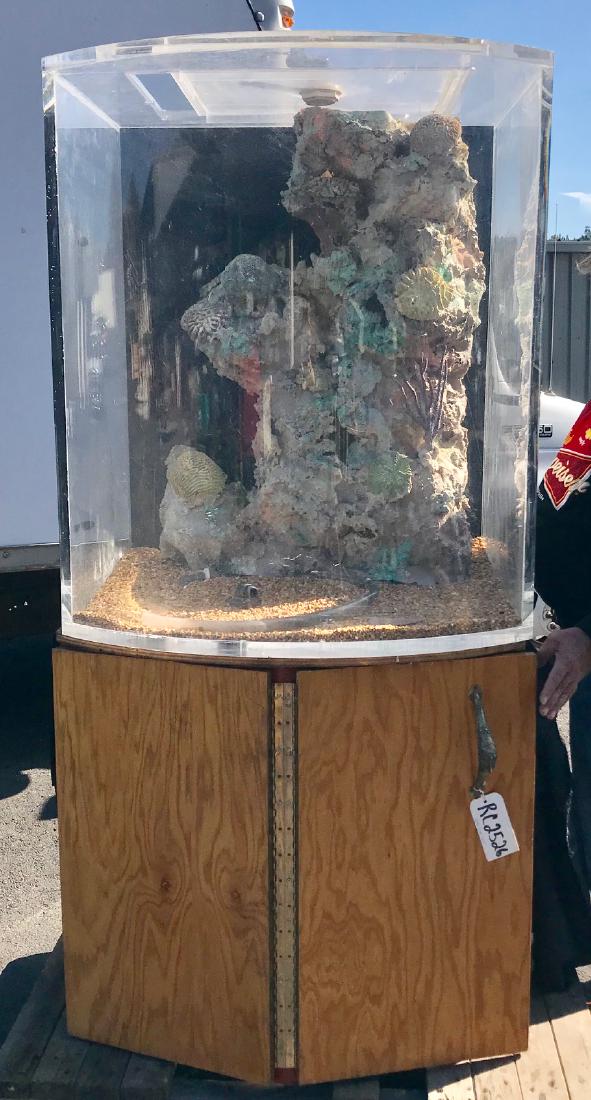 Bow front plexiglass fish tank