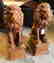 Pair of Small Seated Lions