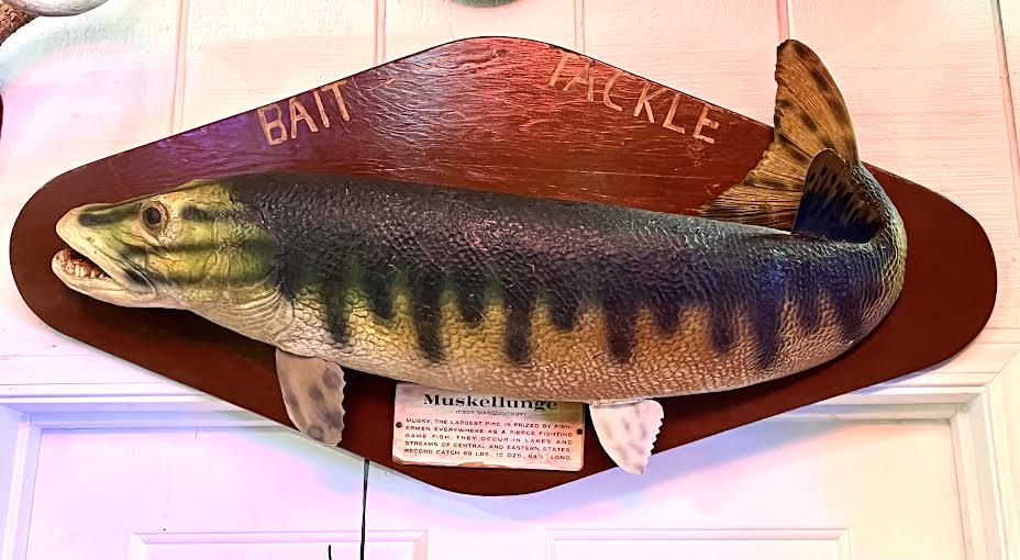 Fishing lure lodge sign in paper mache with Muskellunge (Muskie) plaque. 18"H x 32"W: Fishing lure lodge sign in paper mache with Muskellunge (Muskie) plaque. 18"H x 32"W