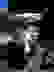 item-12766195=3