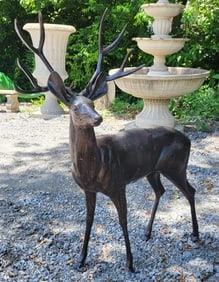 Standing Buck For Outdoor Space
