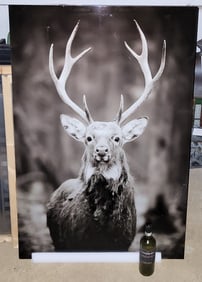 Glass Mount Art Depicting A 10 Point Stag
