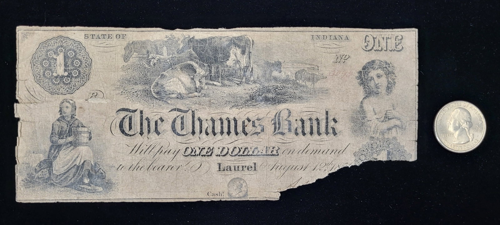 The Thames Bank Of Indiana $1 mid 1880"s: August 12th mid 1880's $1 bill from the Thames Bank of Indiana. Small tear bottom corner.