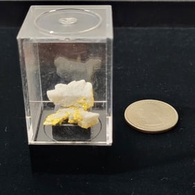 Alaskan Gold on White Quartz