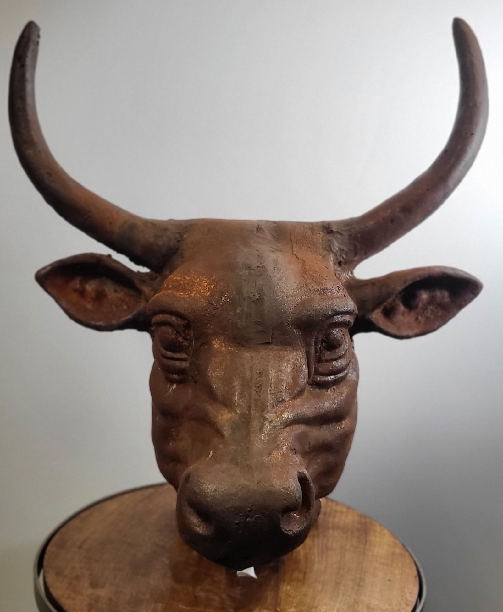 Cast Iron Bull Head Wall Mount (1 of 3)