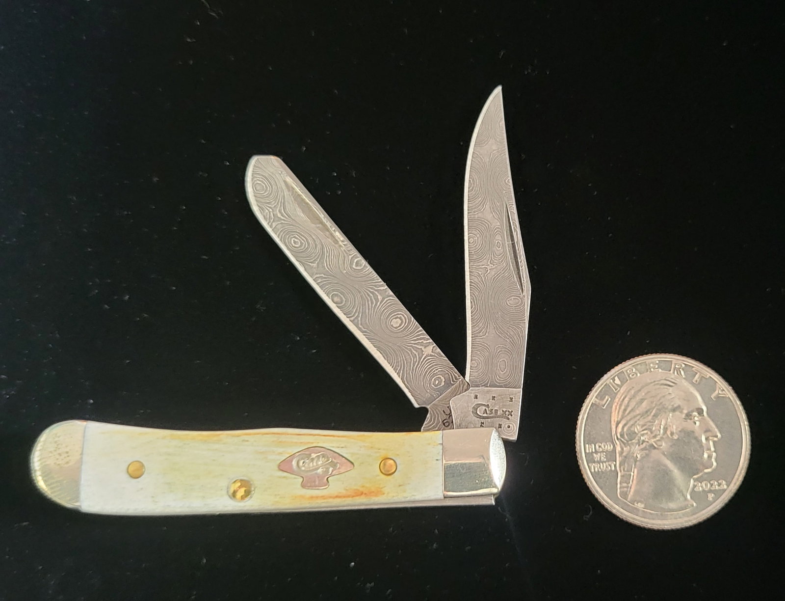 Case Folding Pocket Knife: Case Folding Pocket Knife, Bone Handle, Stag Raindrop Damascus US62154 DAM. 3"long