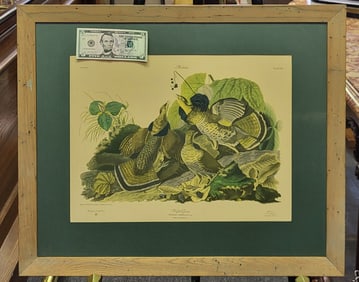 Ruffed Grouse lithograph by John J Audobon. Published by J. B. Fischer Co.