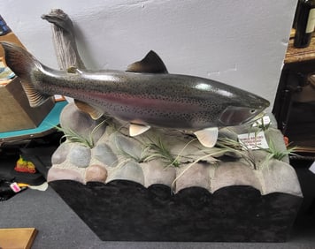 Freshwater Fish Display, Provenance A. Bruner State Idaho U.S.