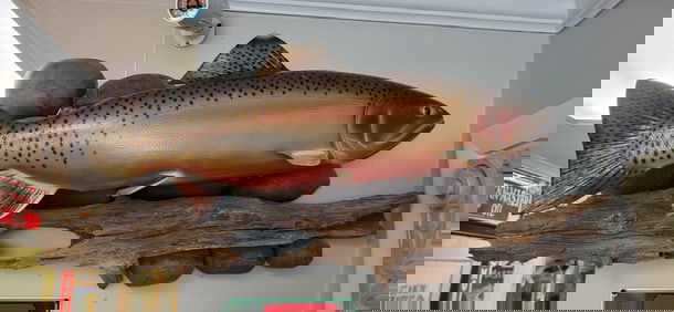 Freshwater Sport Fish, Provenance A. Bruner State Idaho U.S.