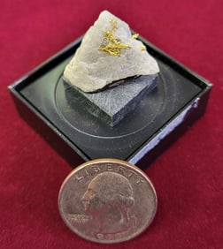Natural Raw Crystalline Gold In Quartz Nugget Specimen