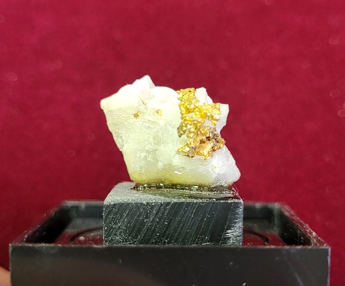 White Quartz with Gold nugget: White quartz encrusted with gold nugget