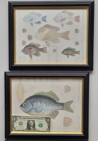 A Pair Of Framed Fish Prints