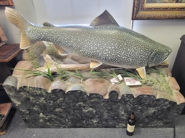 Fish LAKE TROUT Displayed on Bed, Provenance A. Bruner Estate Idaho U.S. 44" H x 59" W 21" D