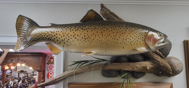 Freshwater Sport Fish, Provenance A. Bruner Estate Idaho (U.S). 23" H x 46" W x 15" D
