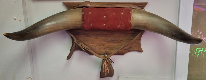 A set of bull horns mounted on a wood base comes with a medium size cowbell. 14"h x 24"w x 11"d