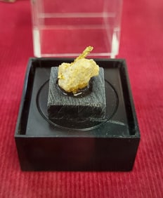 Gold nugget in natural quartz.