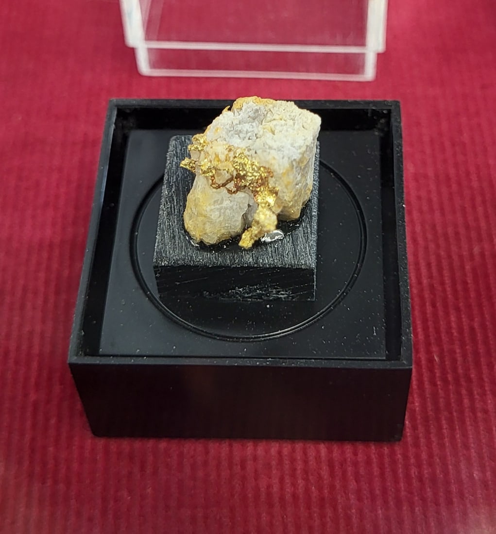 Gold nugget on quartz: Gold nugget on quartz. Case Measurements: 1" x 1"