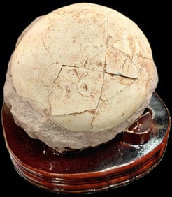 Large Dinosaur Egg on Wood Display