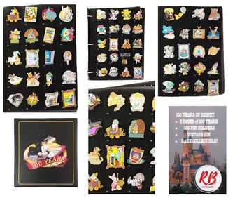 100 Years of Dreams in 3" Binder- 100 Pins in Several Pages.