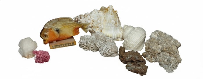 Lot of 6 Items: Decorative Lot of Sea-Related Fossils, "Venezuela" Fish, Shell, Corral Fragments.